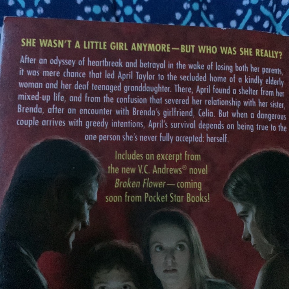V.C. Andrews book set - Picture 4 of 6